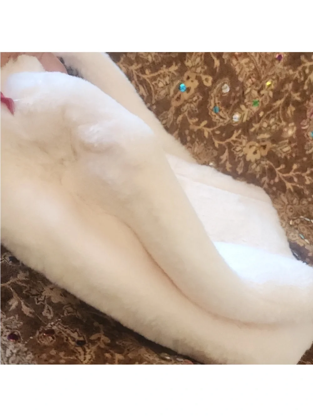 haidilao adorable white